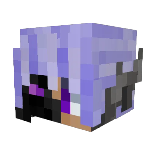 xSentjuhh Minecraft avatar head, 3D render