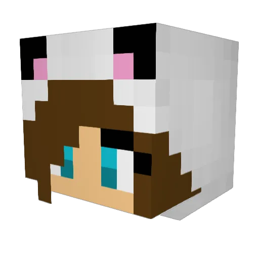 xShadowCloudsPvP Minecraft avatar head, 3D render