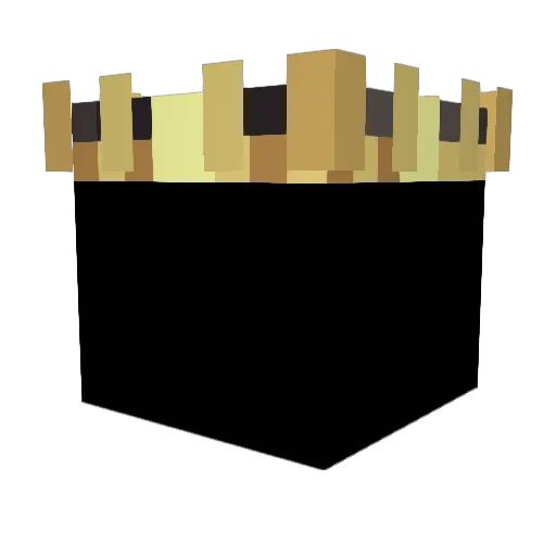 xShadowWizard Minecraft avatar head, 3D render