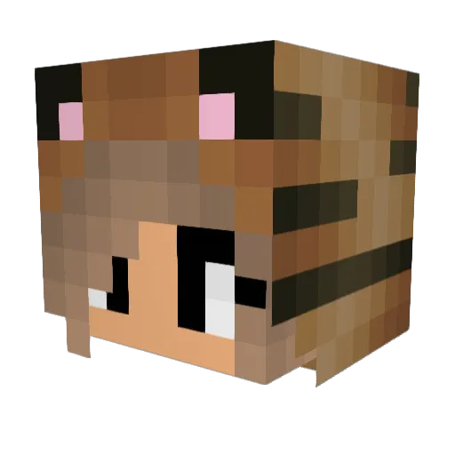 xShelenax Minecraft avatar head, 3D render