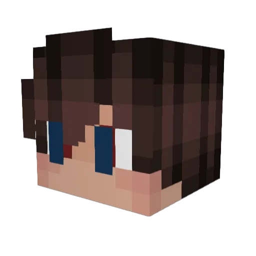xShenzix Minecraft avatar head, 3D render