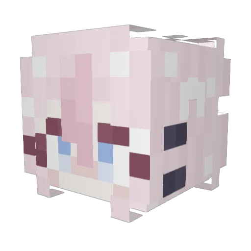xShiR0_ Minecraft avatar head, 3D render