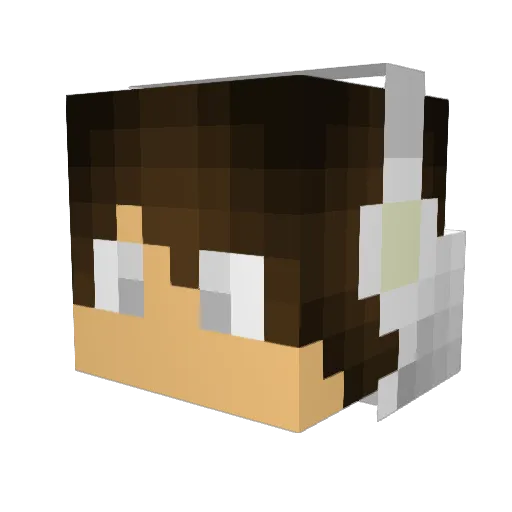 xShine_ Minecraft avatar head, 3D render