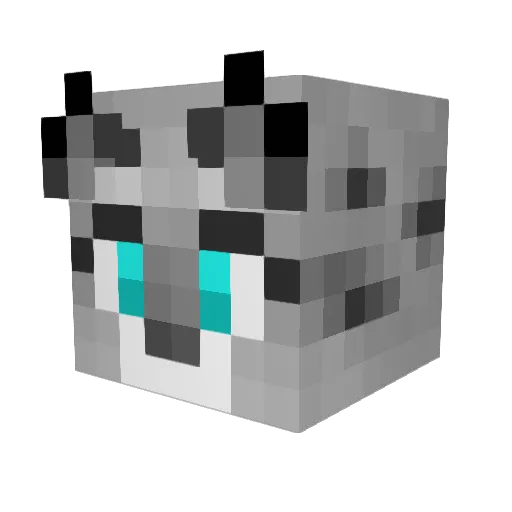 xShinny_ Minecraft avatar head, 3D render