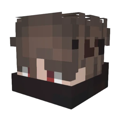 xShowing Minecraft avatar head, 3D render
