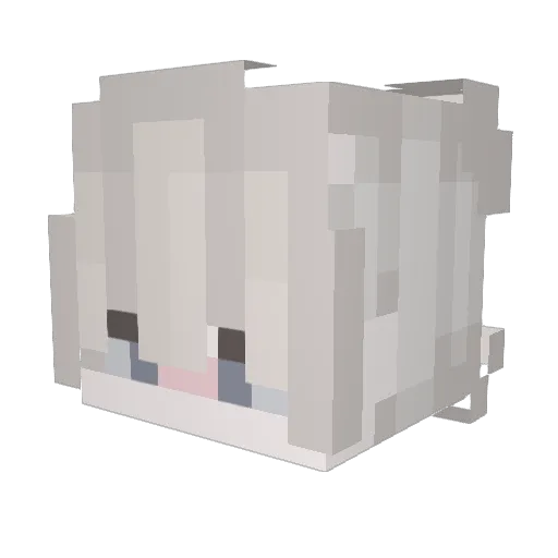 xShun_ Minecraft avatar head, 3D render