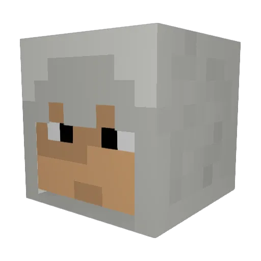 xSilver_56 Minecraft avatar head, 3D render
