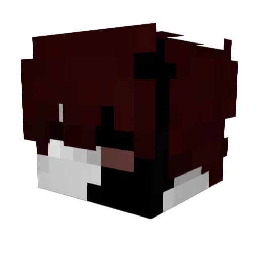 xSilvers Minecraft avatar head, 3D render