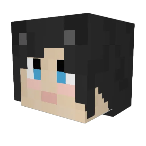 xSkibidiRizz69x Minecraft avatar head, 3D render
