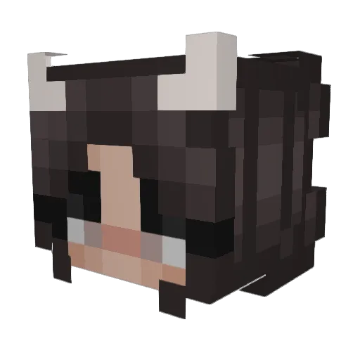 xSkit Minecraft avatar head, 3D render