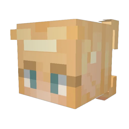 xSkoll Minecraft avatar head, 3D render