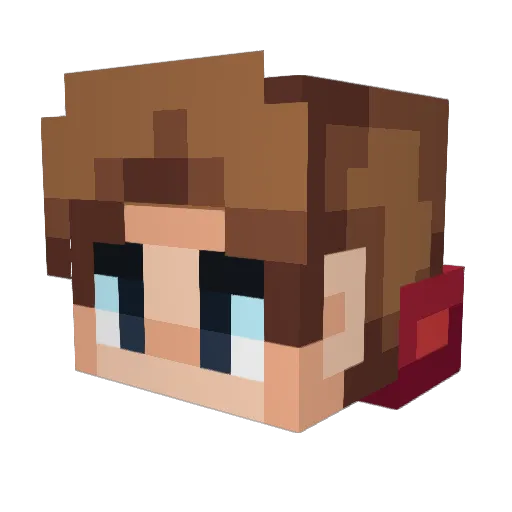 xSkyDon Minecraft avatar head, 3D render