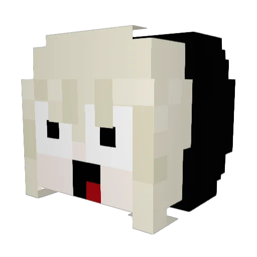 xSkySlayerx Minecraft avatar head, 3D render