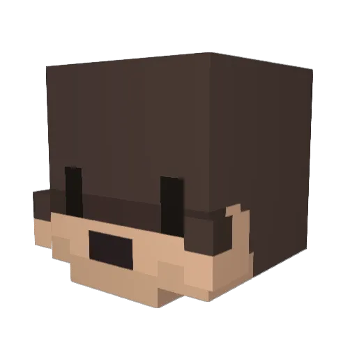 xSkyro Minecraft avatar head, 3D render