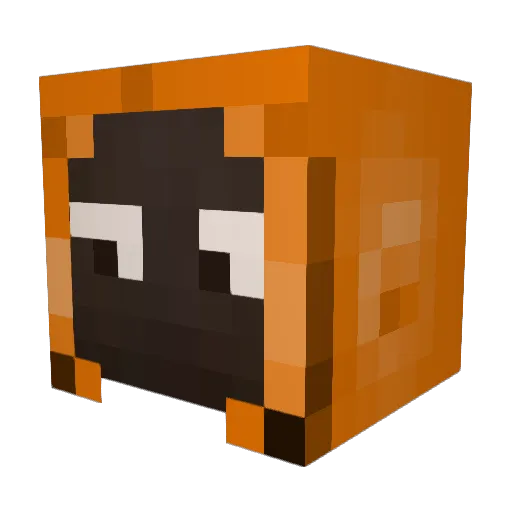 xSkyroy Minecraft avatar head, 3D render