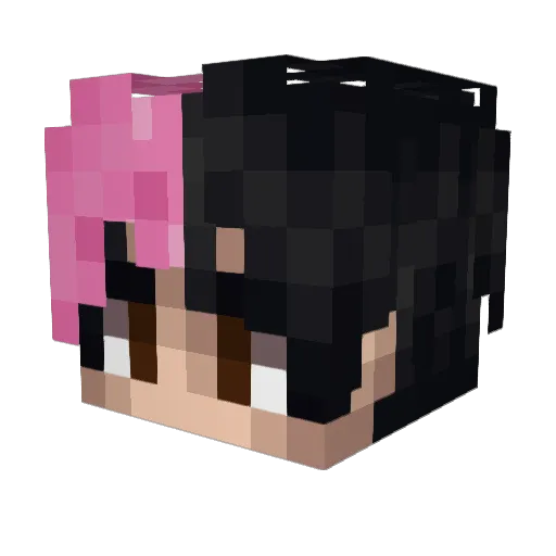 xSkys1337 Minecraft avatar head, 3D render