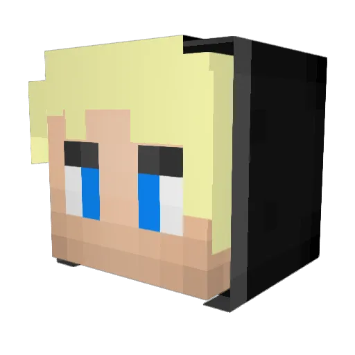 xSl4ke Minecraft avatar head, 3D render
