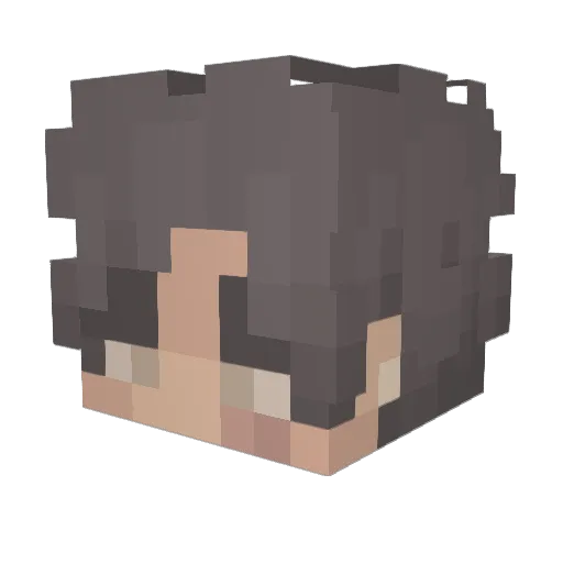 xSlasherxX Minecraft avatar head, 3D render
