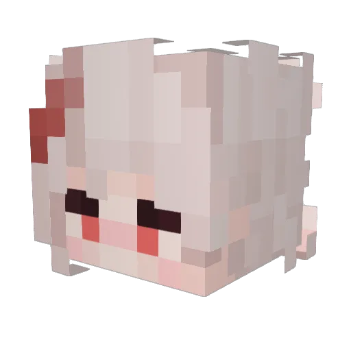 xSloo7e Minecraft avatar head, 3D render