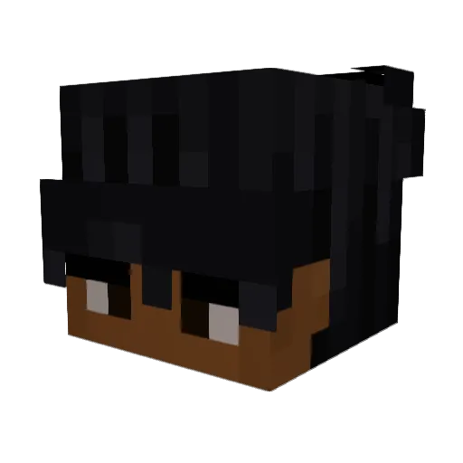 xSloppyBAEconx Minecraft avatar head, 3D render
