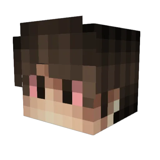 xSmok420 Minecraft avatar head, 3D render