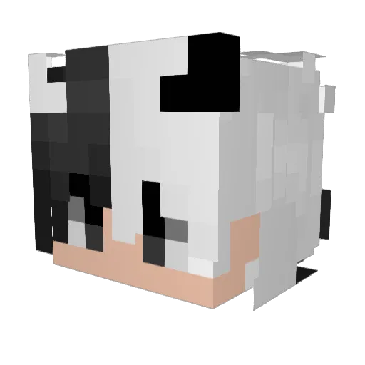 xSnekey Minecraft avatar head, 3D render