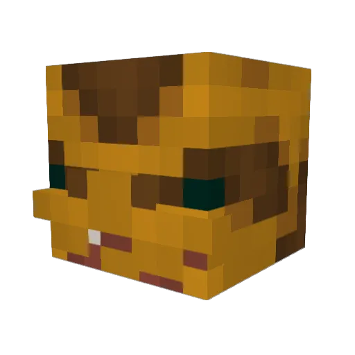 xSney Minecraft avatar head, 3D render