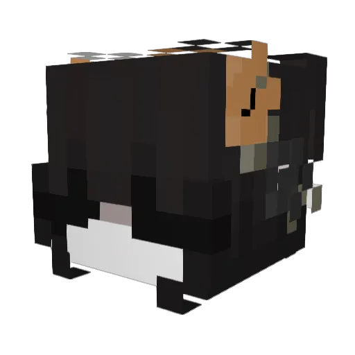 xSnony Minecraft avatar head, 3D render