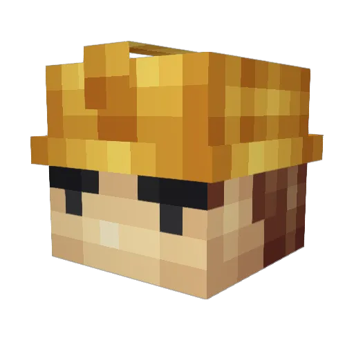 xSnoomy Minecraft avatar head, 3D render