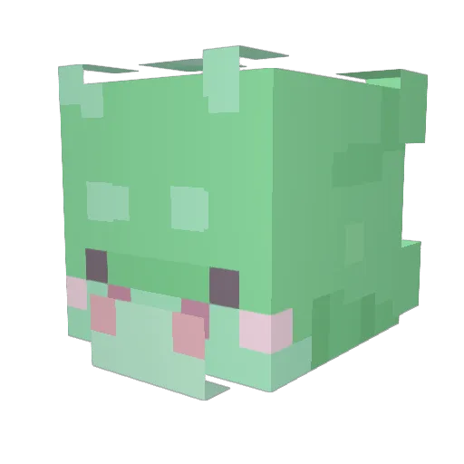 xSnuss Minecraft avatar head, 3D render