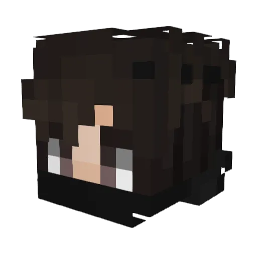 xSolari Minecraft avatar head, 3D render