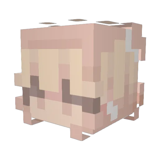 xSoleus Minecraft avatar head, 3D render