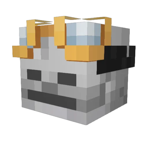 xSoulSabre_ Minecraft avatar head, 3D render