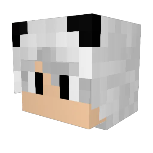 xSpacePanda Minecraft avatar head, 3D render