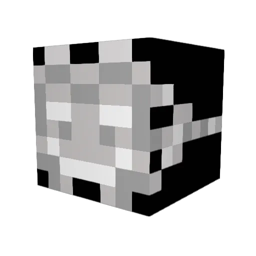 xSpassxyz Minecraft avatar head, 3D render