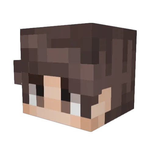 xSpifflesx Minecraft avatar head, 3D render