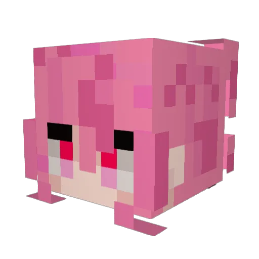 xSquareboix Minecraft avatar head, 3D render