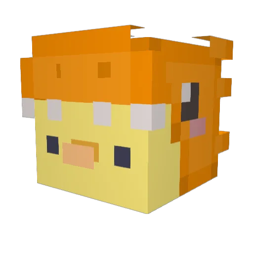 xSqubany1996_ Minecraft avatar head, 3D render