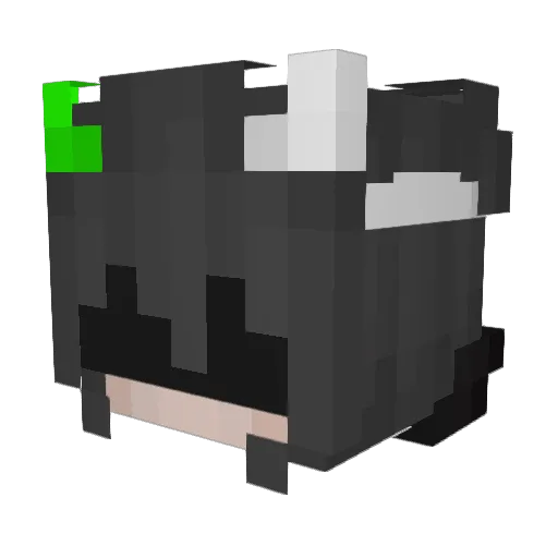xSrLucifer_ Minecraft avatar head, 3D render