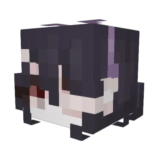 xStarFate Minecraft avatar head, 3D render