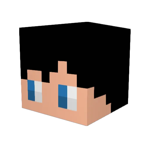 xStayn Minecraft avatar head, 3D render