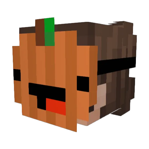 xSteeze_ Minecraft avatar head, 3D render