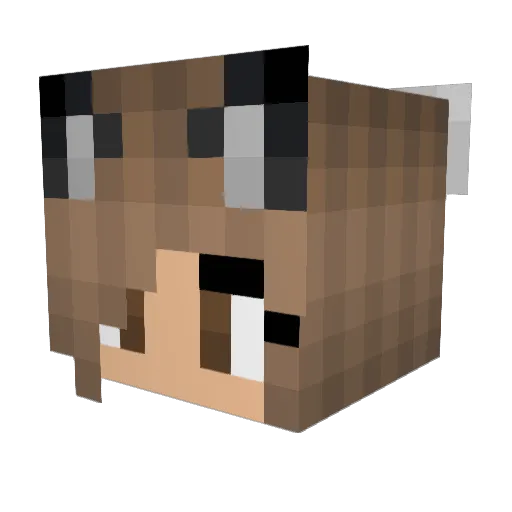 xSternchenx8 Minecraft avatar head, 3D render