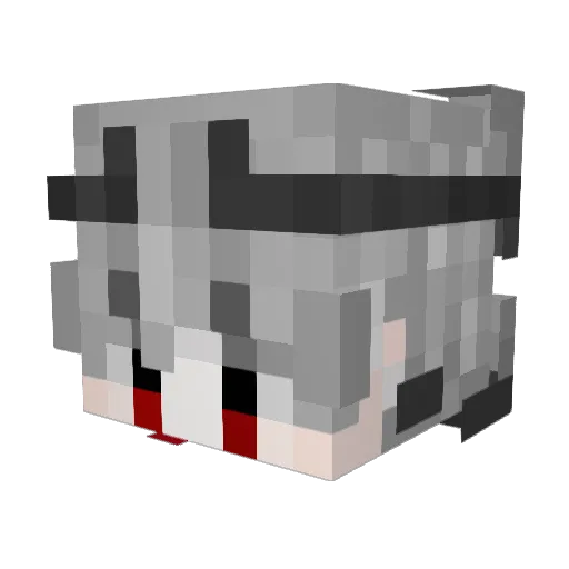 xStormz_ Minecraft avatar head, 3D render