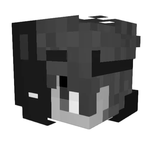 xStrafePunch Minecraft avatar head, 3D render