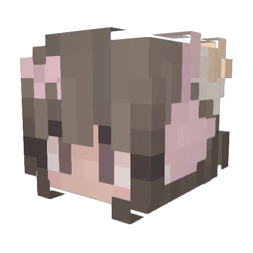 xStrawBabyx Minecraft avatar head, 3D render