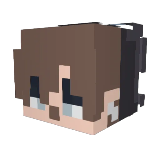 xStrqwberryBeex Minecraft avatar head, 3D render