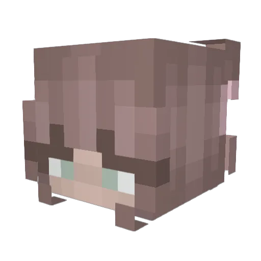 xSuhoe Minecraft avatar head, 3D render