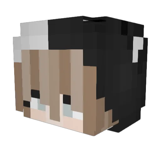 xSunrice Minecraft avatar head, 3D render