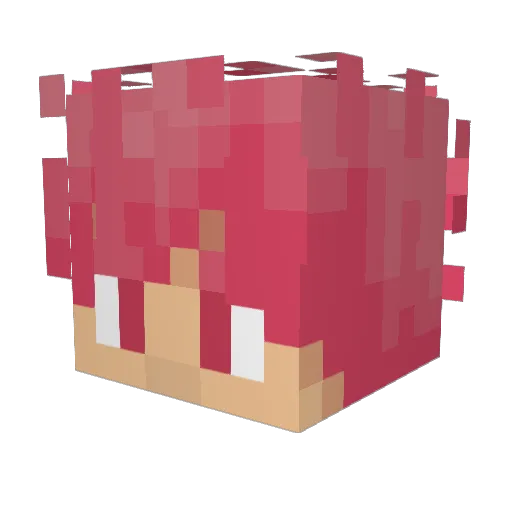 xSuperSayainx Minecraft avatar head, 3D render